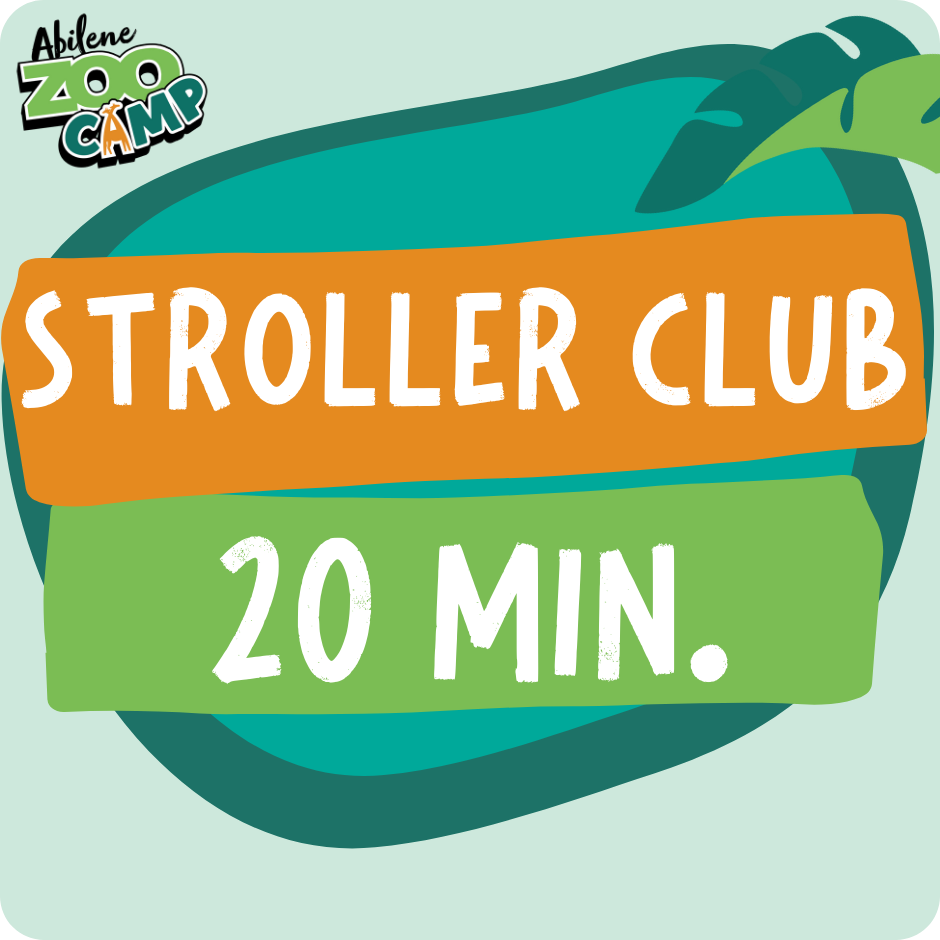 Summer Camp Stroller Club